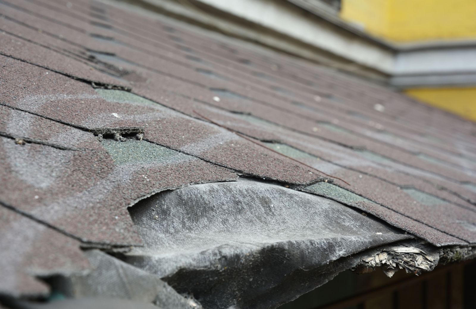 Skylight Roofing & Restoration Images