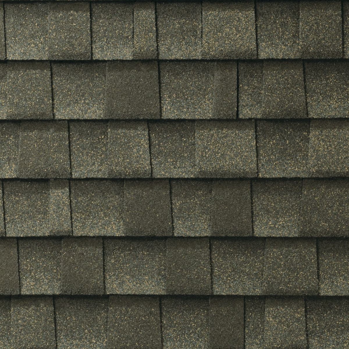 Skylight Roofing & Restoration Images