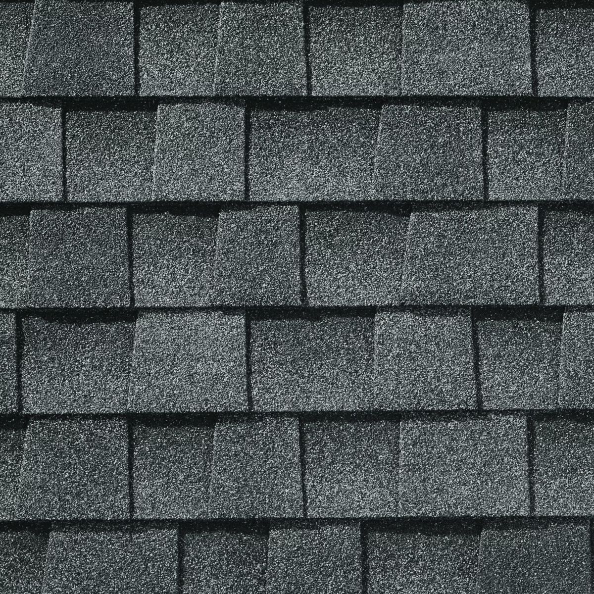 Skylight Roofing & Restoration Images