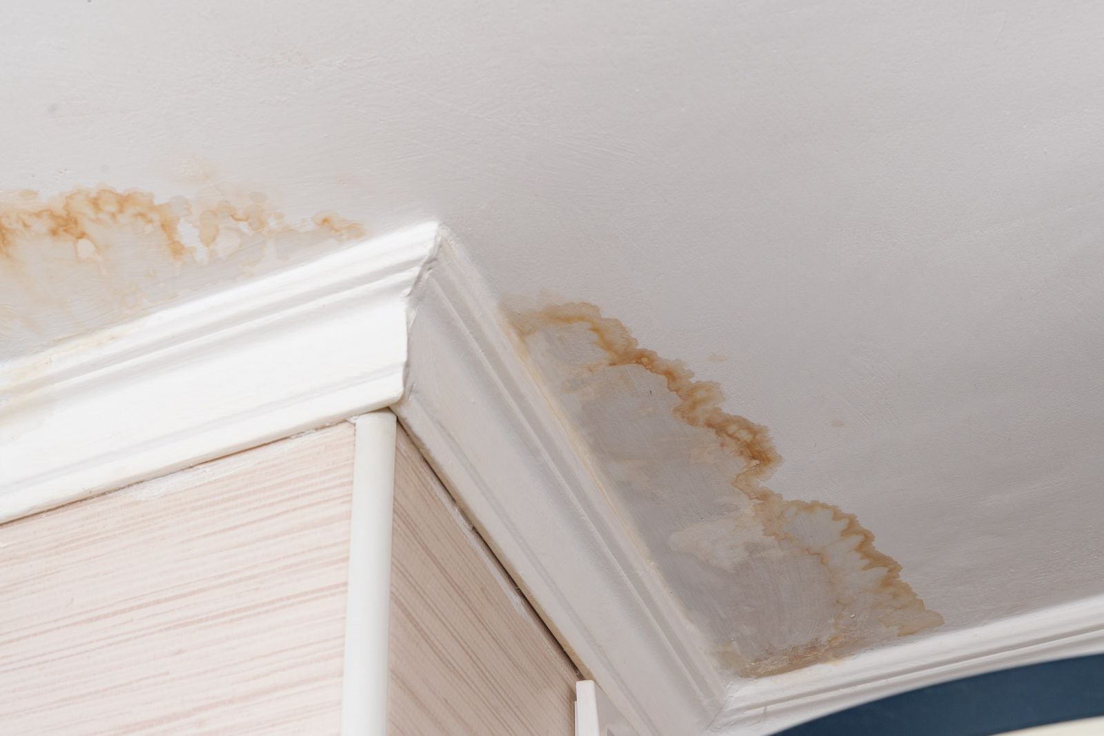 Skylight Roofing & Restoration Images