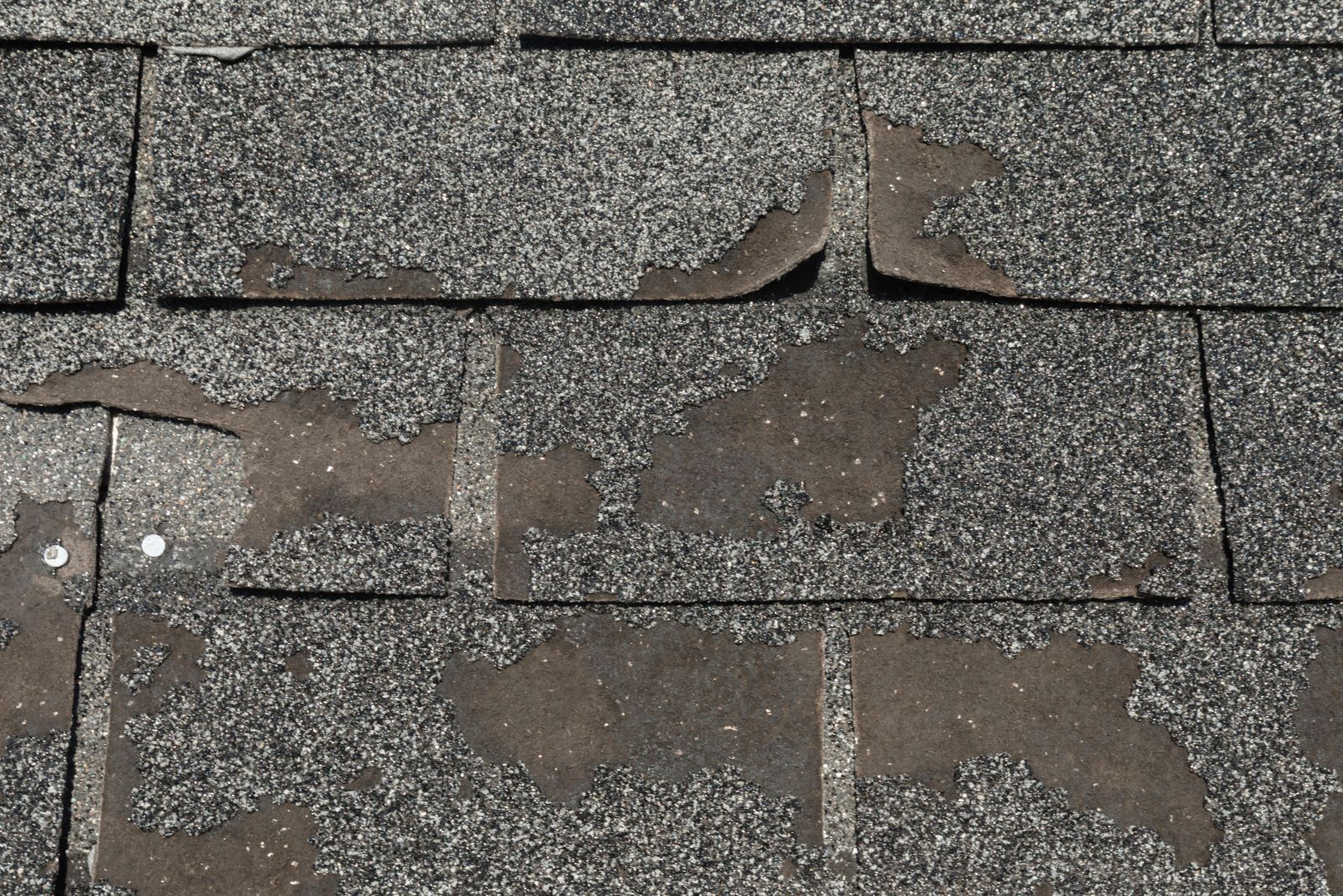 Skylight Roofing & Restoration Images