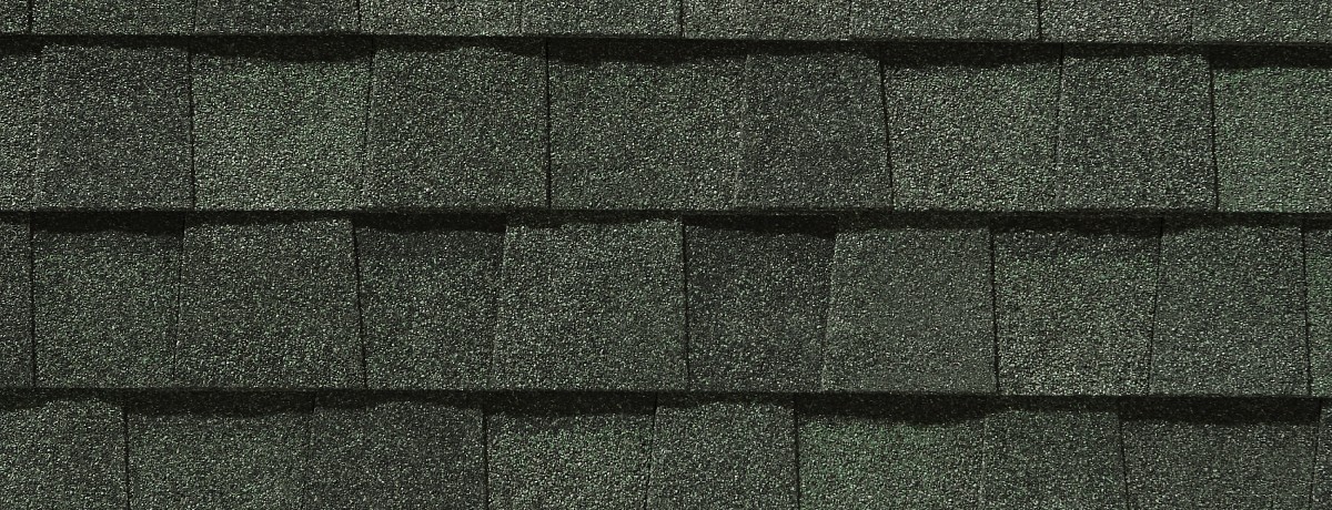 Skylight Roofing & Restoration Images