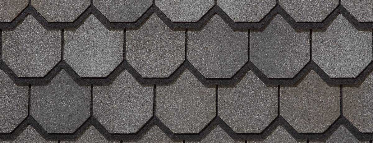 Skylight Roofing & Restoration Images