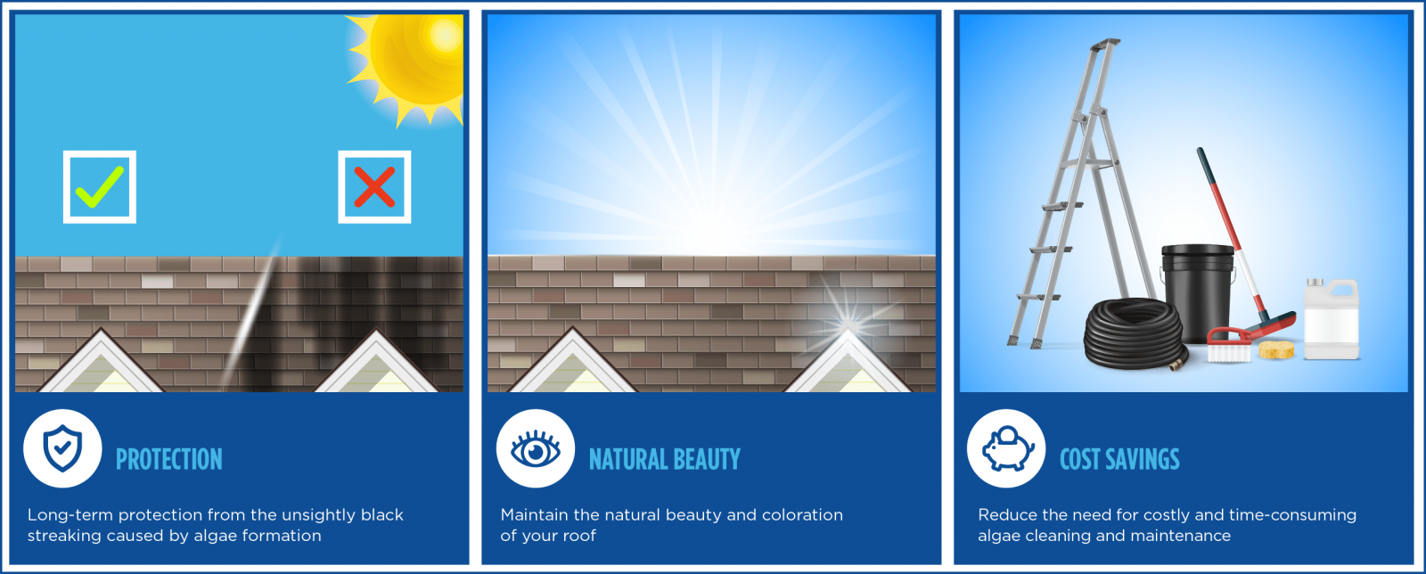 Skylight Roofing & Restoration Images