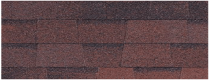 Skylight Roofing & Restoration Images