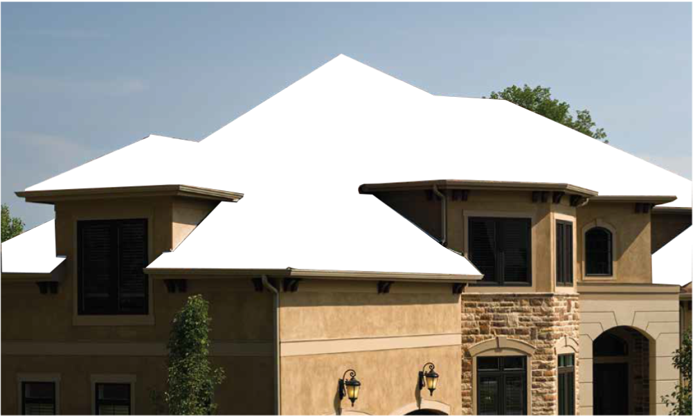 Skylight Roofing & Restoration Images