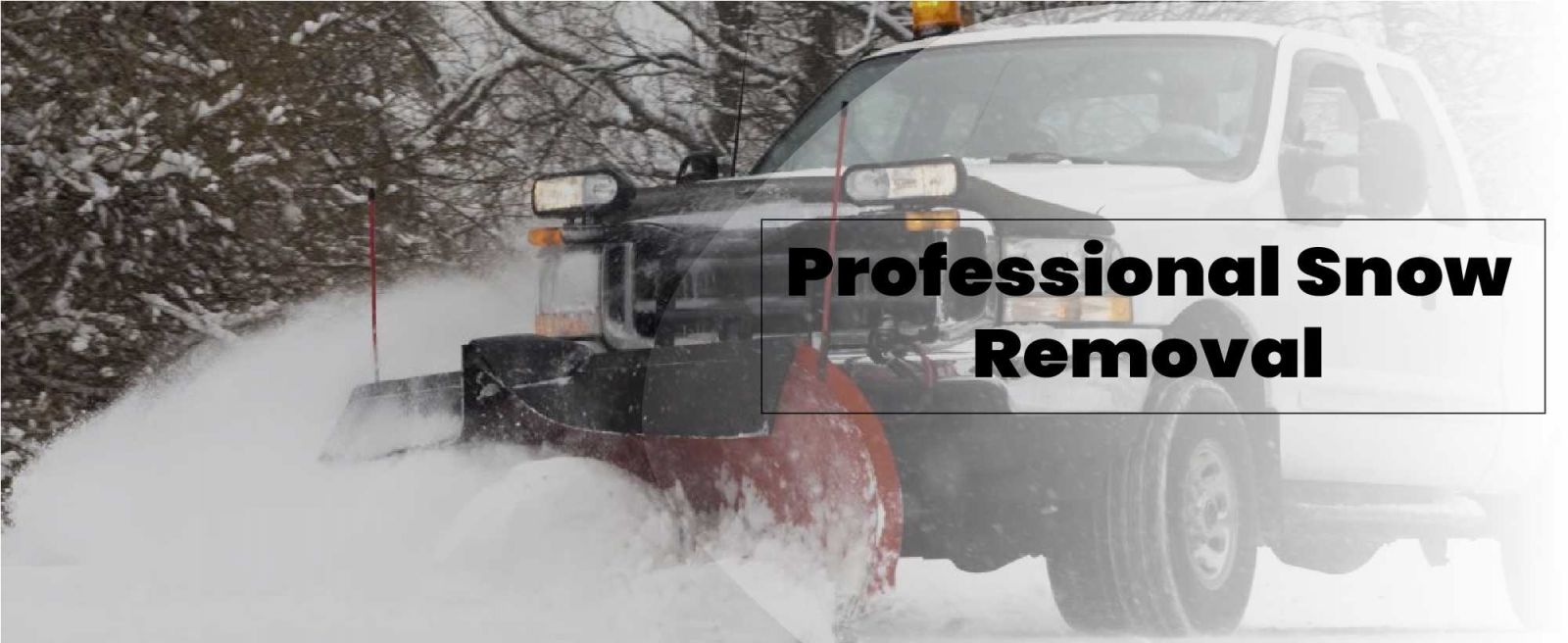 Skylight Roofing & Restoration Images