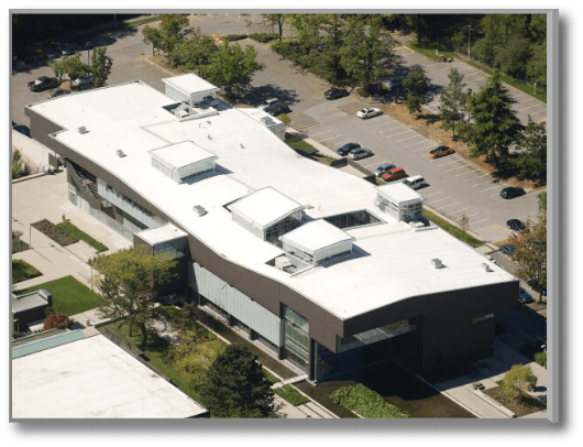 Skylight Roofing & Restoration Images