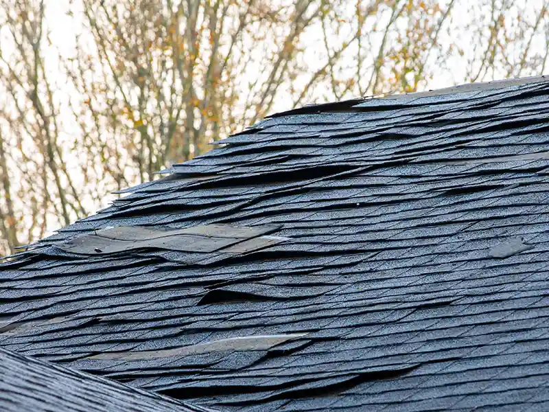 Roof with storm damage
